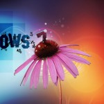 Windows_7_wallpaper